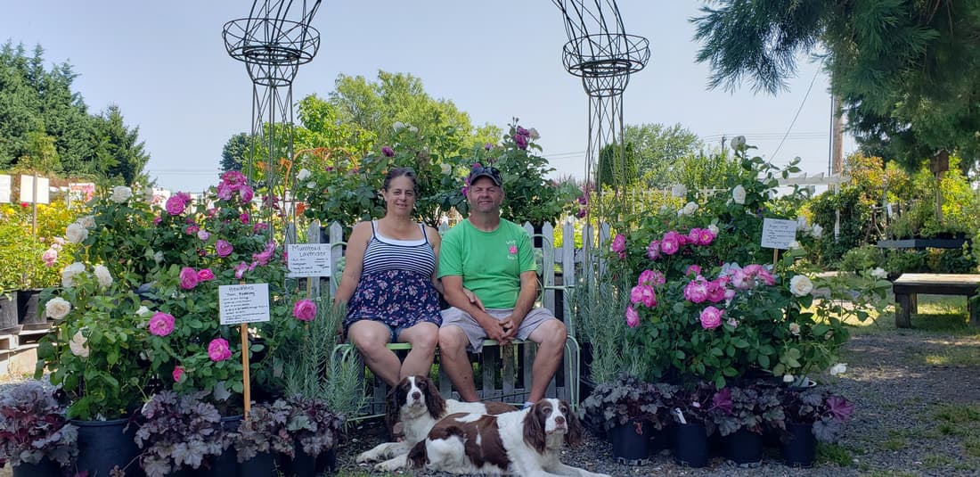 Jeff and Debbie McElhose on a bench among blooming roses with their spaniel, metal arbors behind them
